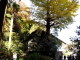 img0014.jpg