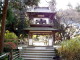 img0019.jpg