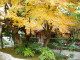 img0033.jpg