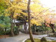 img0036.jpg