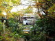img0043.jpg