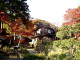 img0049.jpg
