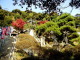 img0053.jpg