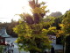 img0059.jpg
