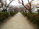 img0074.jpg