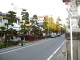img0075.jpg