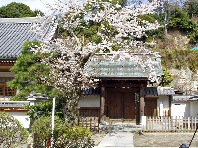 img0003.jpg
