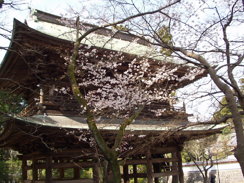 img0004.jpg