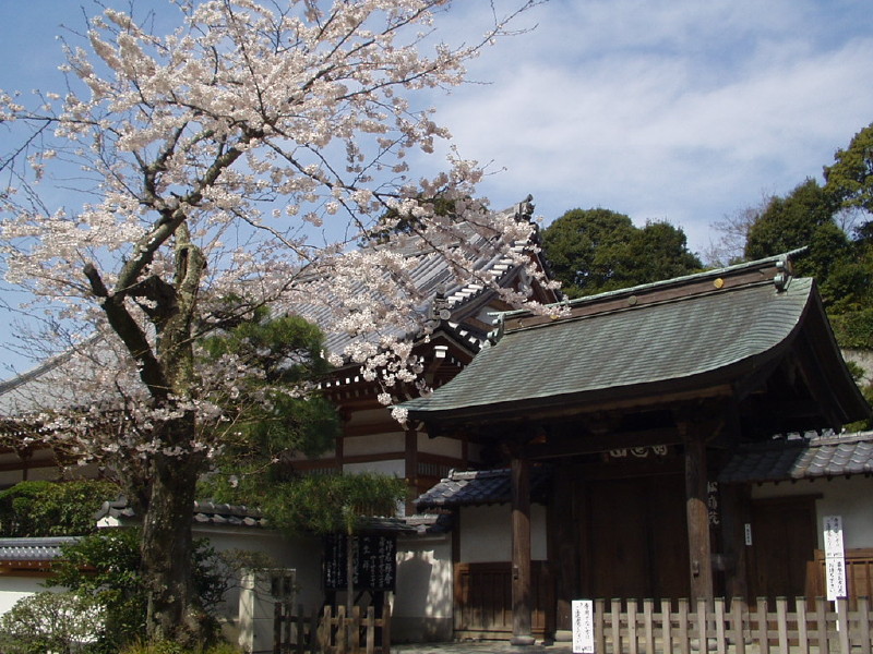 img0005.jpg
