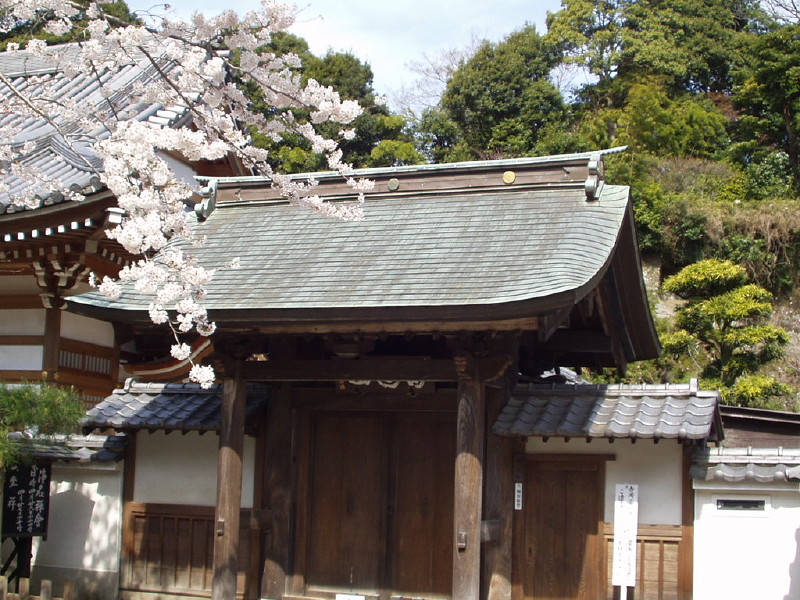 img0006.jpg