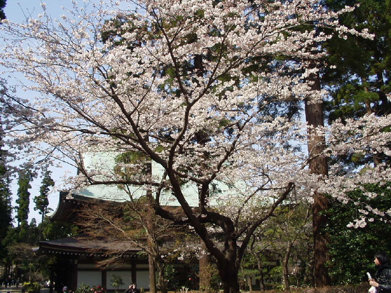 img0007.jpg