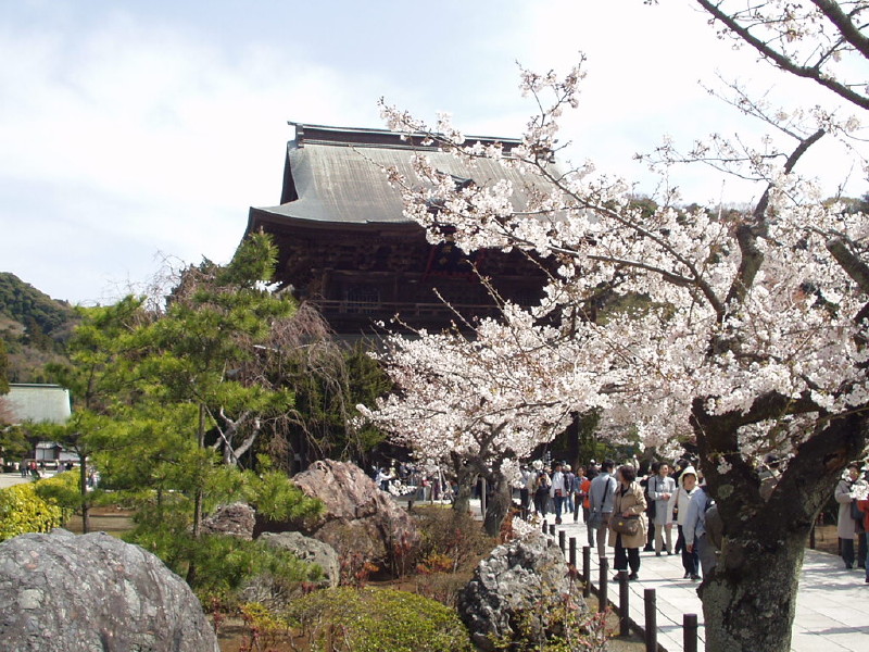 img0014.jpg