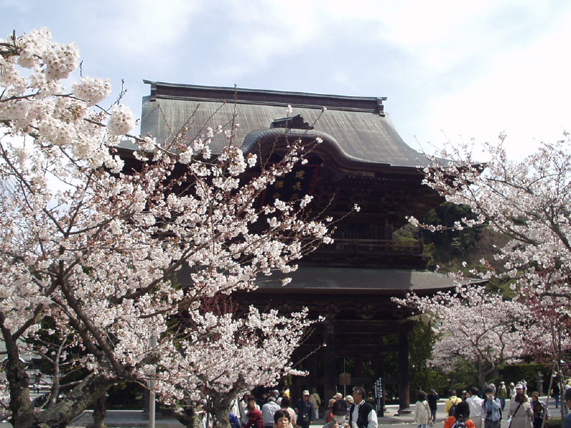 img0015.jpg