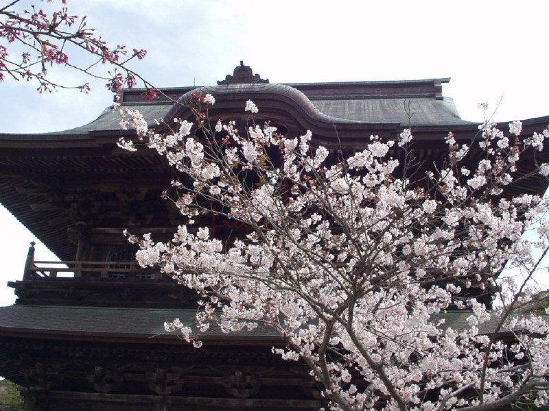 img0016.jpg