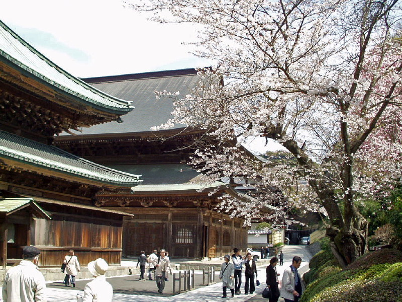 img0019.jpg