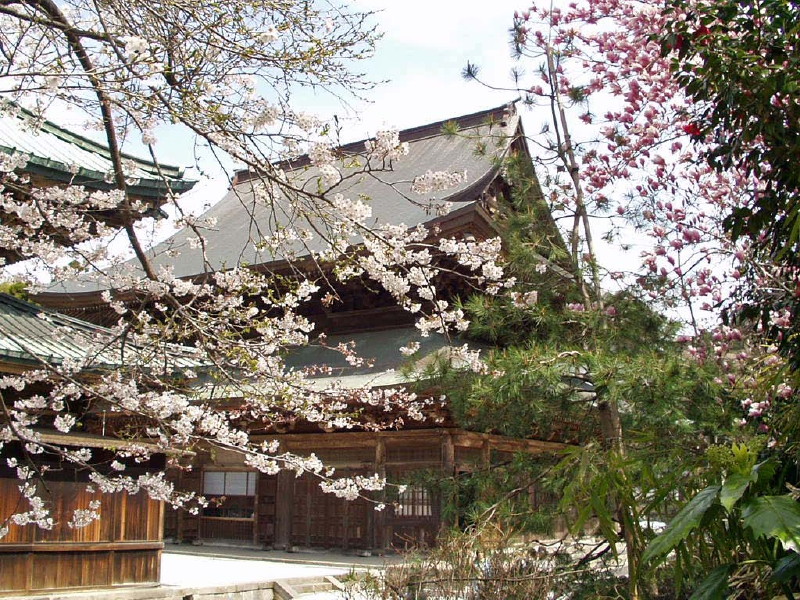 img0024.jpg
