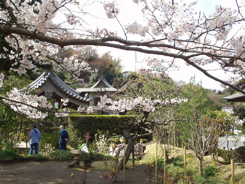 img0025.jpg
