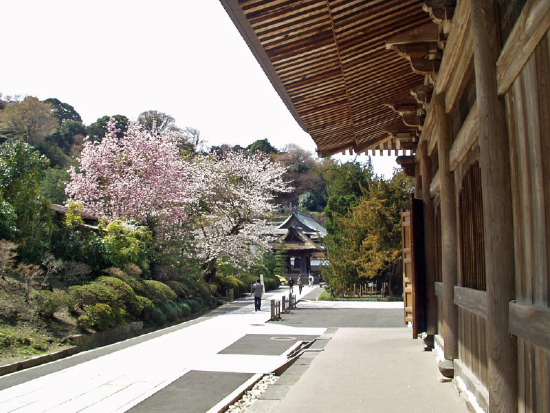 img0026.jpg