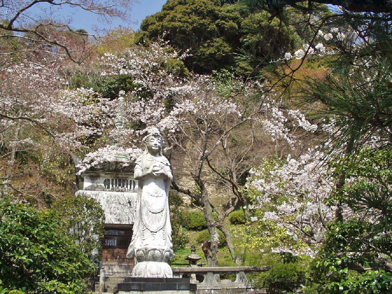 img0029.jpg