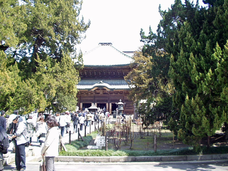 img0031.jpg