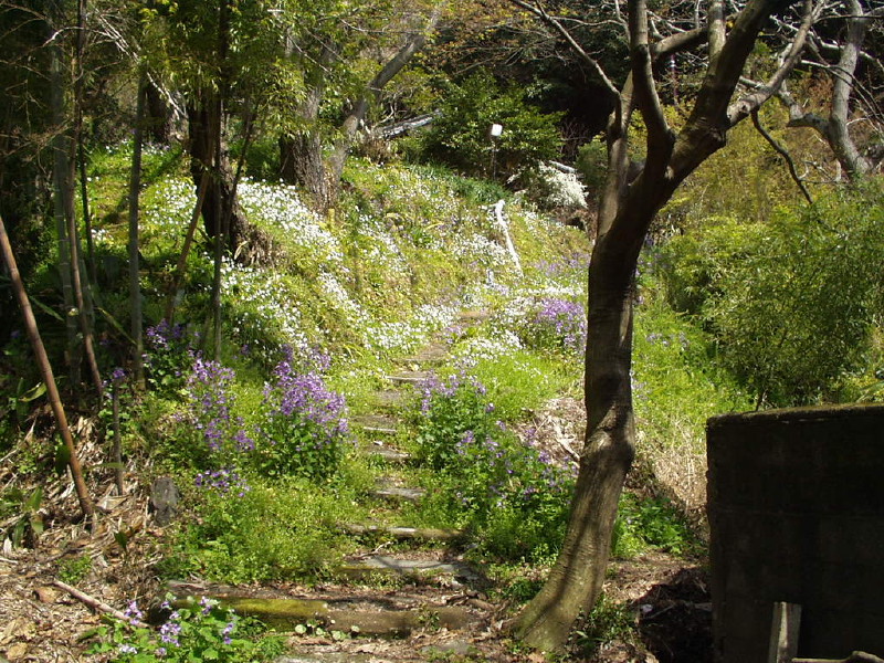 img0032.jpg