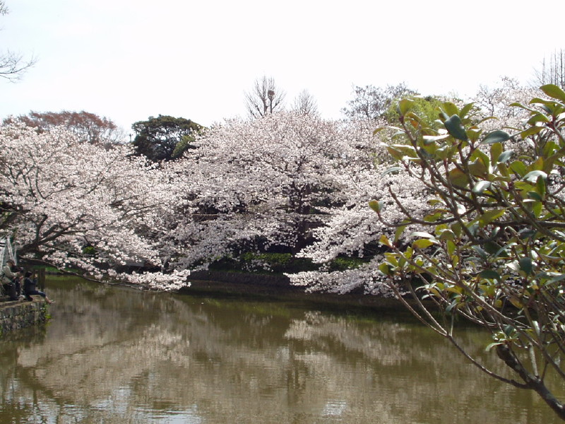 img0038.jpg