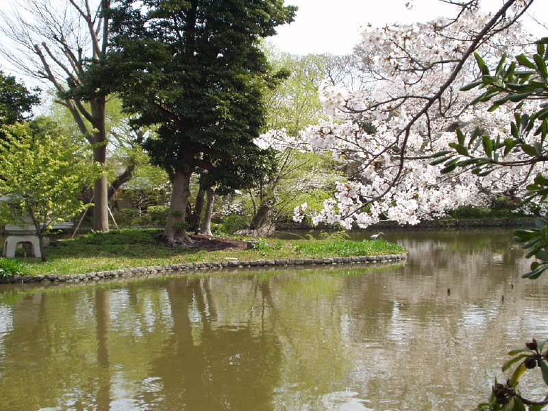 img0039.jpg
