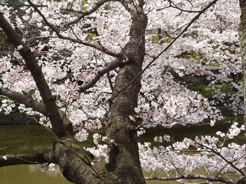 img0041.jpg