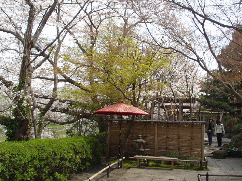 img0042.jpg