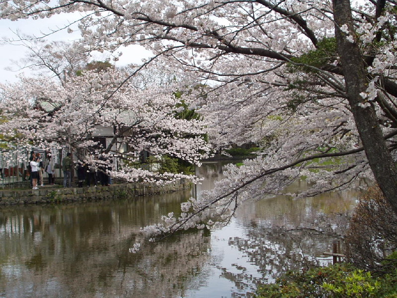 img0043.jpg