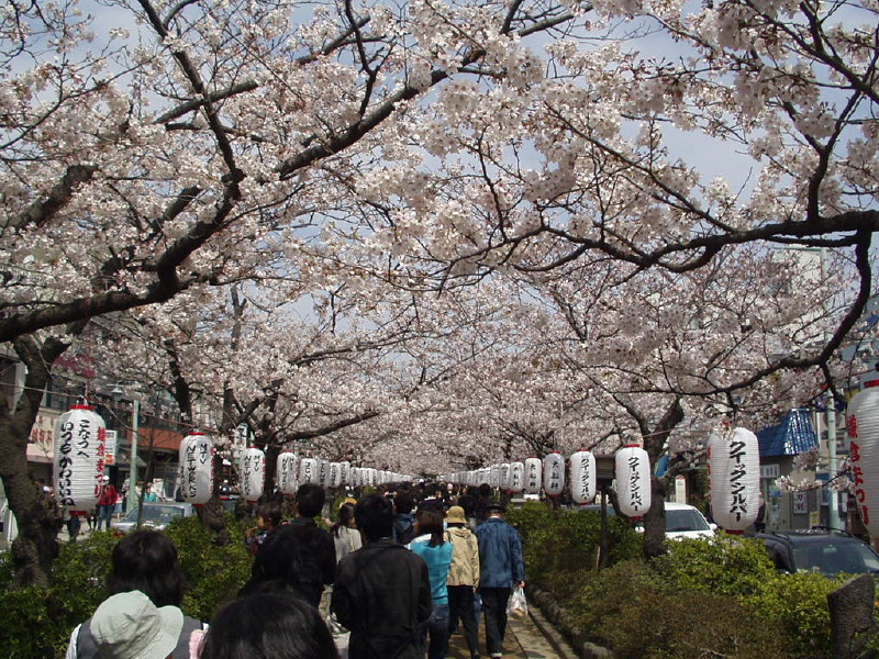 img0045.jpg