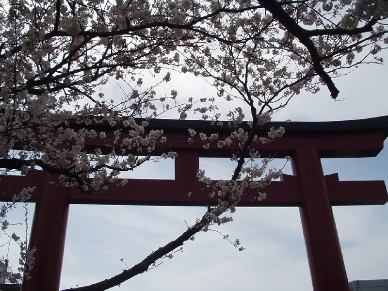 img0047.jpg