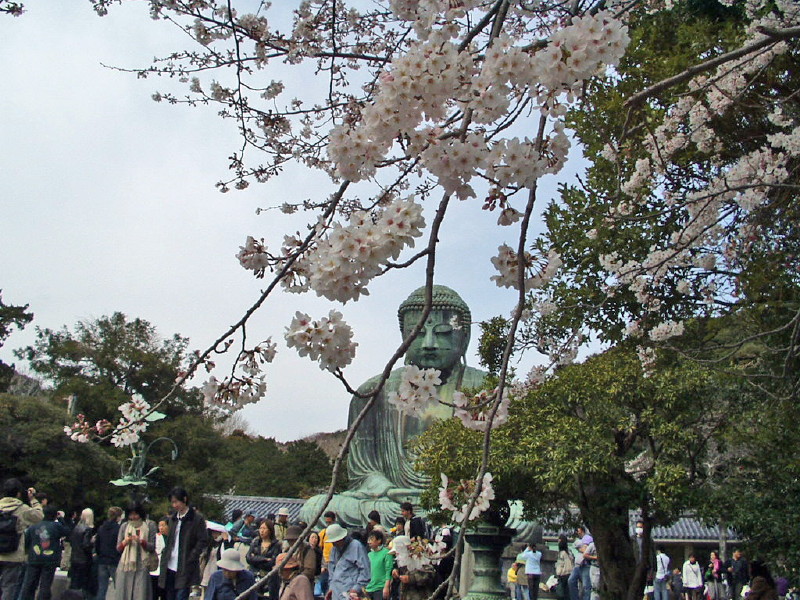 img0061.jpg