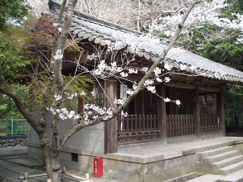 img0065.jpg