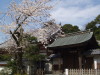 img0005.jpg