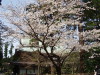 img0007.jpg