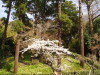 img0008.jpg