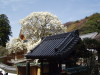 img0009.jpg