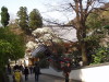 img0010.jpg