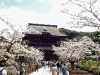img0013.jpg