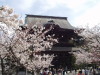 img0015.jpg