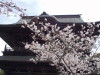 img0016.jpg