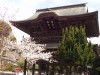 img0017.jpg