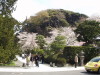 img0018.jpg