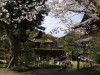 img0020.jpg
