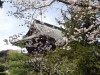 img0021.jpg