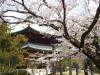 img0022.jpg
