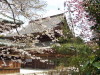 img0024.jpg