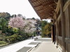 img0026.jpg