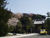img0030.jpg